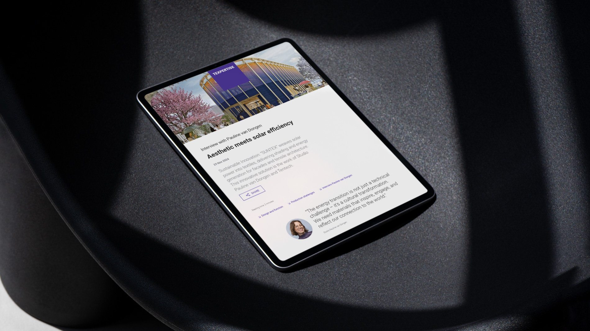 Excerpt from an advertorial